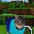 OIIA Cat X Minecraft