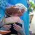 La Reine Des Neiges FROZEN