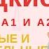 ТУРЕЦКИЕ ГЛАГОЛЫ А1 И А2 ОСНОВНЫЕ И ВТОРОСТЕПЕННЫЕ ЗНАЧЕНИЯ