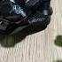 Shimano Altus M2000 And Alivio M3100 RD Are They Really Different From Each Other Quick Look Only