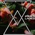 Ladies Night Original Mix