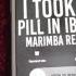 Mike Posner I Took A Pill In Ibiza Marimba Remix