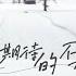 我期待的不是雪 男版