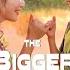 The Bigger Picture