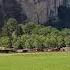 Switzerland Lauterbrunnen Valey Lauterbrunnenvalley Alps Travel Beauty Nature Europe
