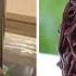 Fancy Chocolate Cake Tutorials So Yummy Chocolate Cake Decorating Ideas Top Yummy Cake