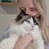 Do You Agree With This Expurrt Advice Cats Purring Purr ASMR Ragdoll Meow Pets Shorts Cute