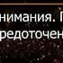 Брюс Алан Уоллес Глава 9 Революция внимания Пробуждение силы сосредоточенного ума