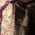 Burnt Walls Broken Dreams Ms Halima S Life After Her House Burned Down