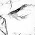 POV You Stopped Searching For Strength And Started Understanding Life Vagabond Mangaedit