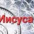 Время ускорено Слово Иисуса Христа 27 сентября 2022г Пророческое служение Апостол Слова