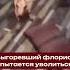 Флорист сгорает на работе Увольняюсь я больше не могу А ты как герой Подожди потерпи