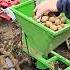 Отец садит картошку 25 соток мотоблоком агротехнологии Farming казаковсергей