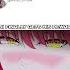Hanime Anime Hentai