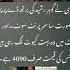 Love Is On The Air Kubra Gohar Rasheed Moments Trendingpakistan Kubrakhan Birthday Foryou