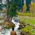 HEAVEN ON EARTH KASHMIR Kashmir Valley Viral Kashmiri Pahalgham Gulmarg Sonamarg Kashmirvalley Valey