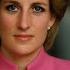 Who Killed Diana