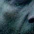 Vikings Season 5 Official SDCC Trailer Comic Con 2017 History