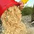 Survival Skills Made A Sawdust Stove For Survival Bushcraft Camping Survival Outdoors