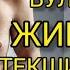 КАНДАЙ БЕЛГИЛАР БУЛСА ЖИГАРНИ ТЕКШИРТИРИШ ШАРТ БУЛАДИ