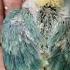 Parblue Opa Poss Split Ino Sexlink Hen