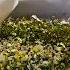 Meet 8 Young Founders Turning Trash Into Cash World Wide Waste Business Insider