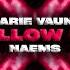 Marie Vaunt NAEMS Follow Me