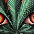 Dub Weed Music