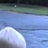 MOV18B
