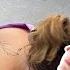 College Student With Years Of Low Back Pain From 4 Herniated Discs Helped Part 2