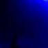 ATB Apollo Road Ft Dash Berlin Escape From Wonderland