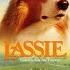 Opening To Lassie 1994 VHS Canadian Version