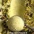 Easy Pistachio Ice Cream Icecream Easyrecipes Summerrecipes