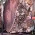 Big Sawmill Lumber