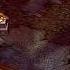Warcraft 3 The Frozen Throne Scourge Campaign Legacy Of The Damned Miss 2 The Flight From Lordaeron