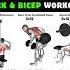 Back Bicep Workout Cutting Workout DAY 6 Backworkout Bicepsworkout