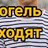 Фогель куда уходят друзья