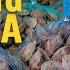 Farming The Sea Full Episode