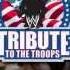 WWE Tribute To The Troops 2013 Tonight