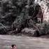 Gadis Desa Lagi Mandi Di Sungai