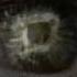 E MANTRA Floating Spirals