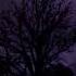 BLURRYFXCE Coma Music Shorts Atmosphere Phonk музыка