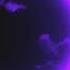 Hxvrmxn Eclipse Slowed