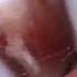 20120822 162715 SVideo 1