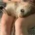 I M Sitting On My Knees