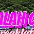 DJ BAWALAH CINTAMU GALA REMIX