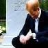 Prince Harry Archie Princessdiana Diana Rip Princeharry Royals Love Cute Meghanmarkle