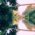 Soft Machine Floating World