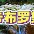悦耳金典 斯卡布罗集市 Scarborough Fair 经典纯音乐 极品金曲 旋律优美 动听婉转 令人陶醉 心旷神怡 沁人心脾 祝福亲人 思念亲人 20230615
