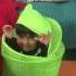 Little Frog